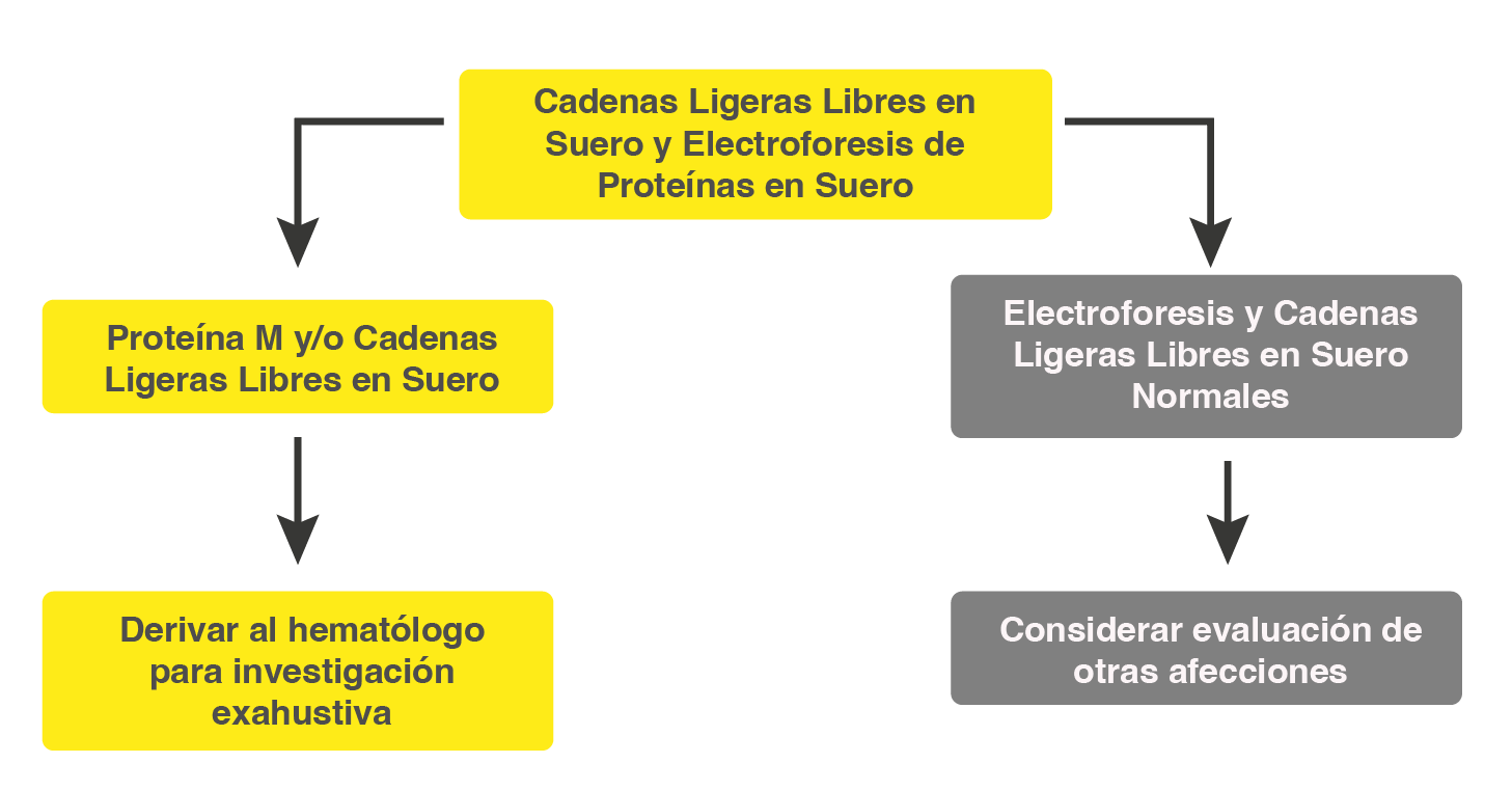 Refer to Haematology_sFLC and SPE-3